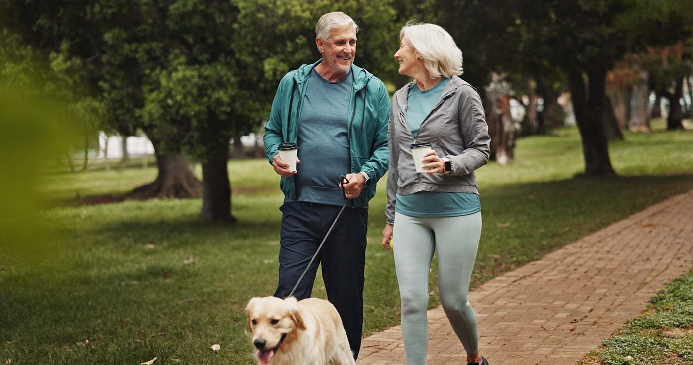Set up a daily routine for your dog - About Pets
