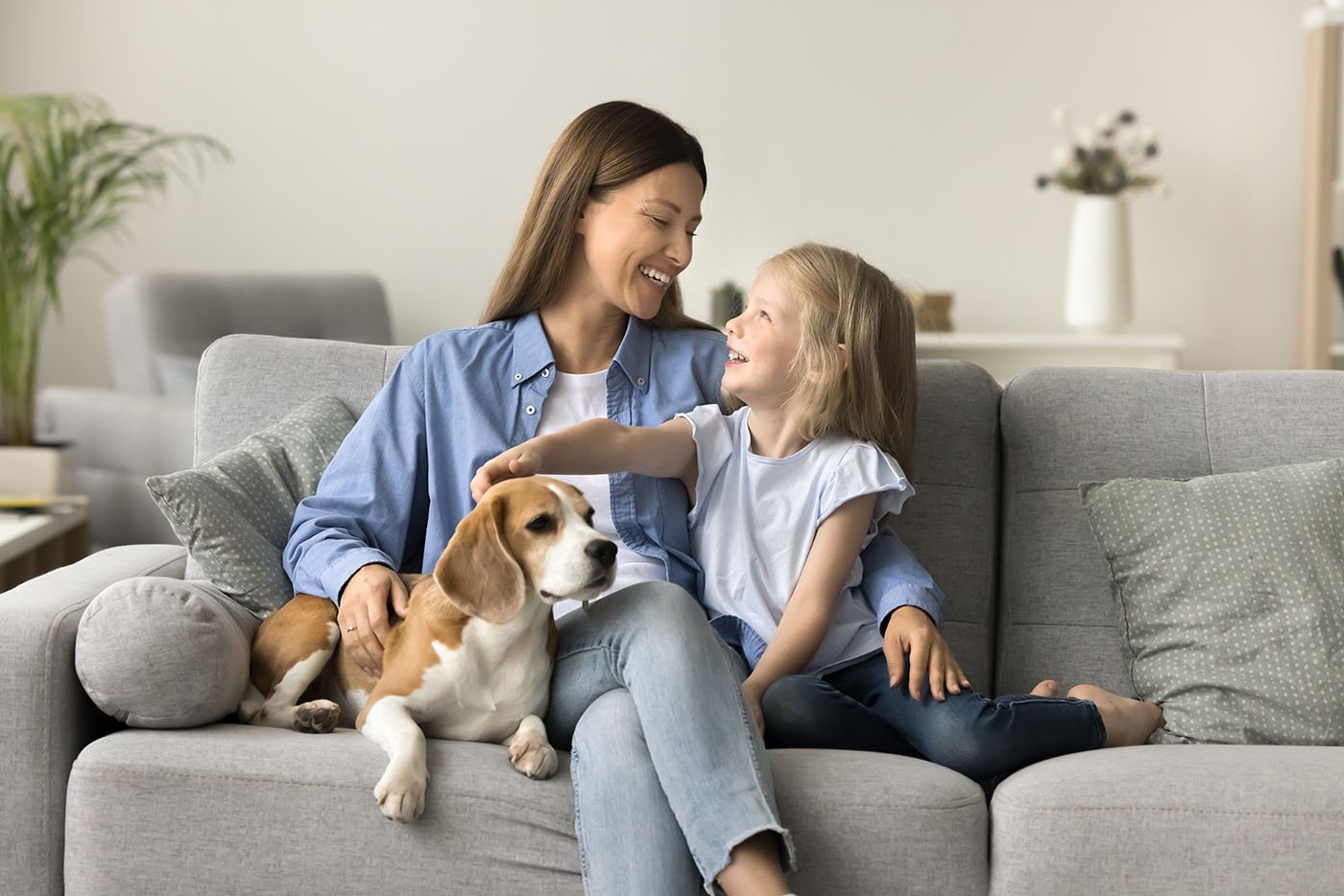Why give your pooch plenty of loving care? - About Pets