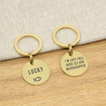 Engraved Stainless Steel Cat Name ID Tag - Icon Fish Gold Stainless Brushed - About Pets