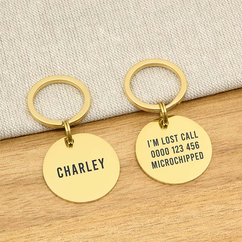 Engraved Stainless Steel Dog Name Tag - Round - About Pets