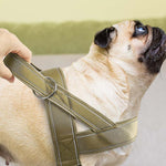 Kwikfit Nylon No-Pull Dog Harness - Khaki - About Pets