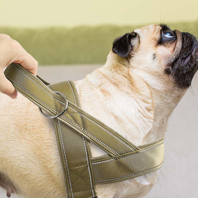 Kwikfit Nylon No-Pull Dog Harness - Khaki - About Pets