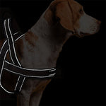 Kwikfit Nylon No-Pull Dog Harness - Khaki - About Pets