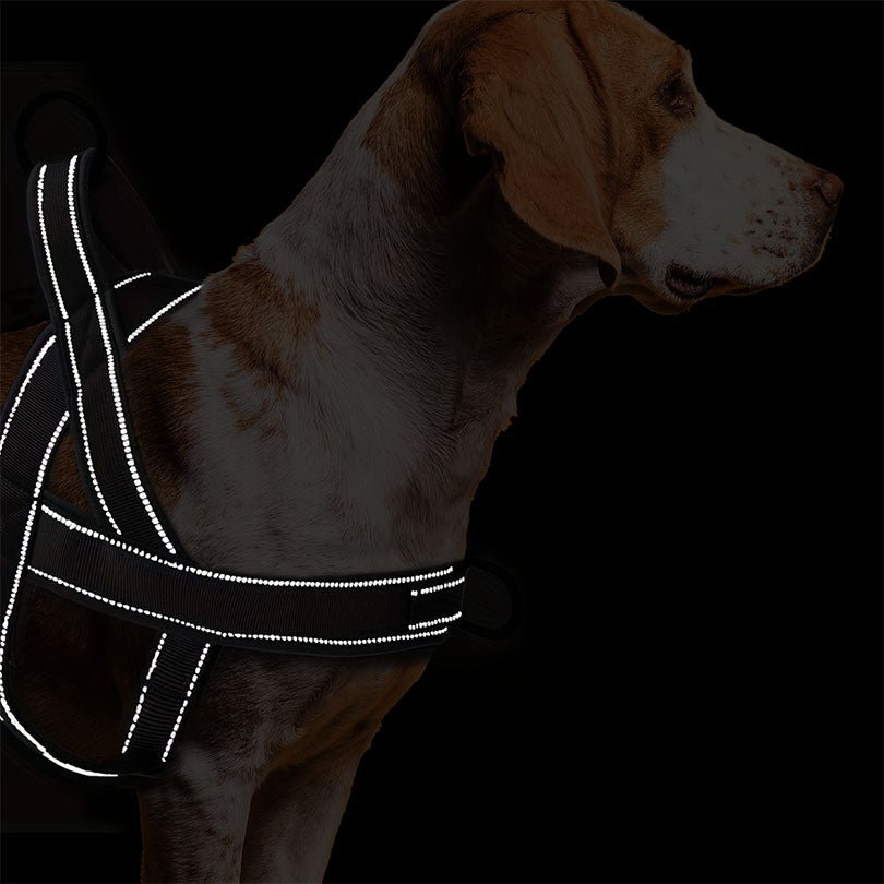 Kwikfit Nylon No-Pull Dog Harness - Khaki - About Pets