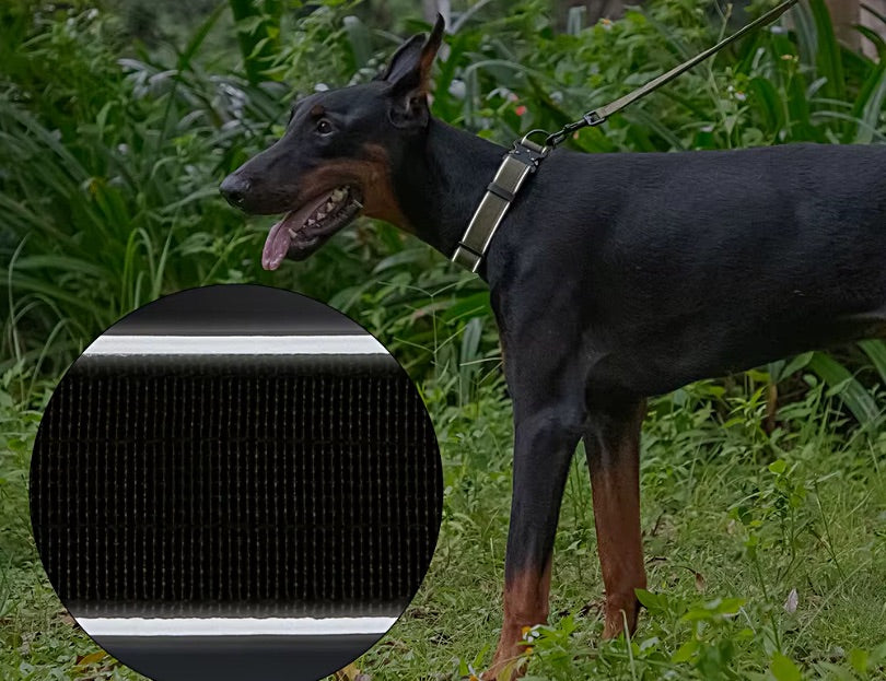 Titan black nylon tactical dog collar and leash on a dog in a park with a close up of the reflective safety strip in collar for night time walking