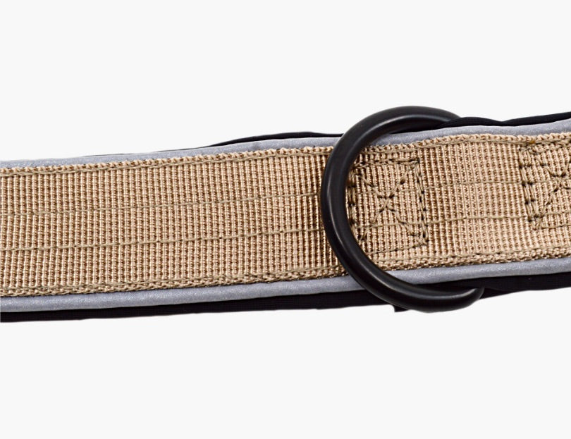 Titan beige nylon tactical dog collar with a strong black metal D-ring for attaching accessories on a white background