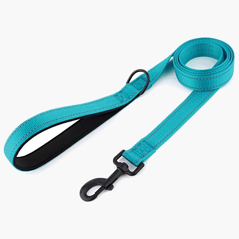 Titan Nylon Dog Leash - About Pets