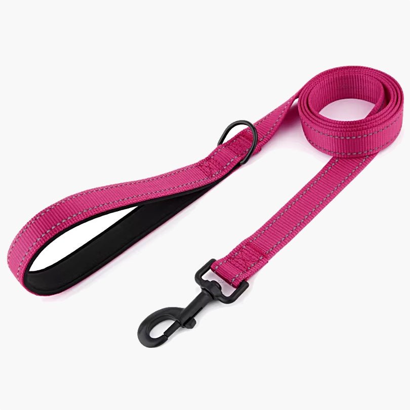 Titan Nylon Dog Leash - About Pets