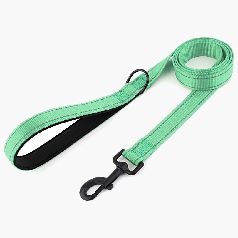 Titan Nylon Dog Leash - About Pets