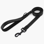Titan Nylon Dog Leash - About Pets