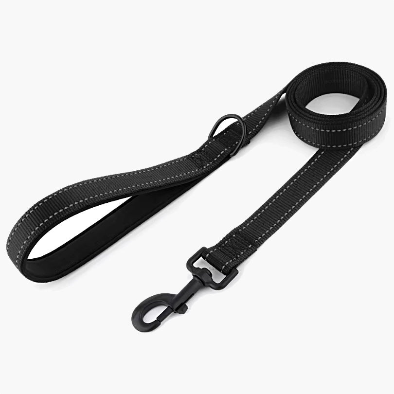 Titan Nylon Dog Leash - About Pets
