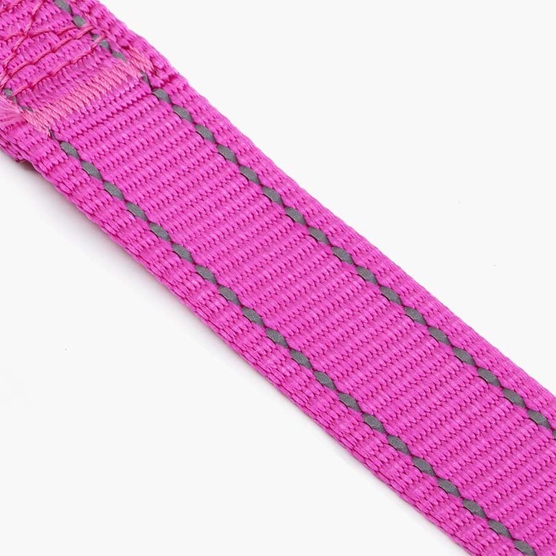 Titan Nylon Dog Leash - About Pets