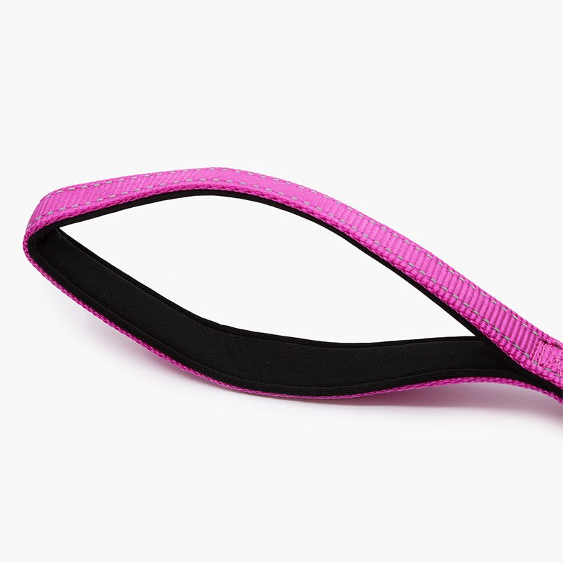 Titan Nylon Dog Leash - About Pets