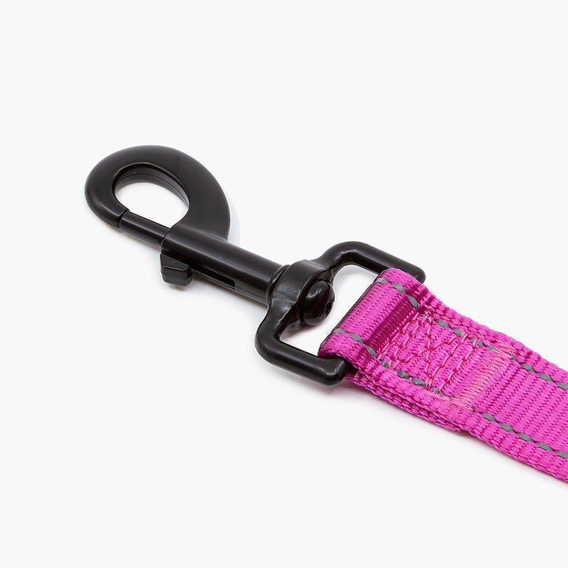Titan Nylon Dog Leash - About Pets