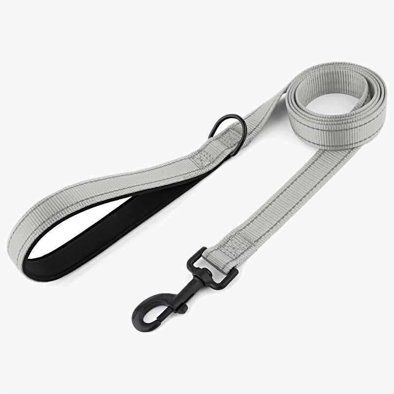 Titan Nylon Dog Leash - About Pets