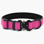 Titan Tactical Nylon Dog Collar - About Pets