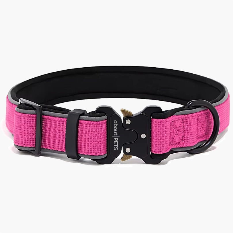 Titan Tactical Nylon Dog Collar - About Pets