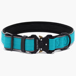 Titan Tactical Nylon Dog Collar - About Pets