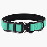 Titan Tactical Nylon Dog Collar - About Pets