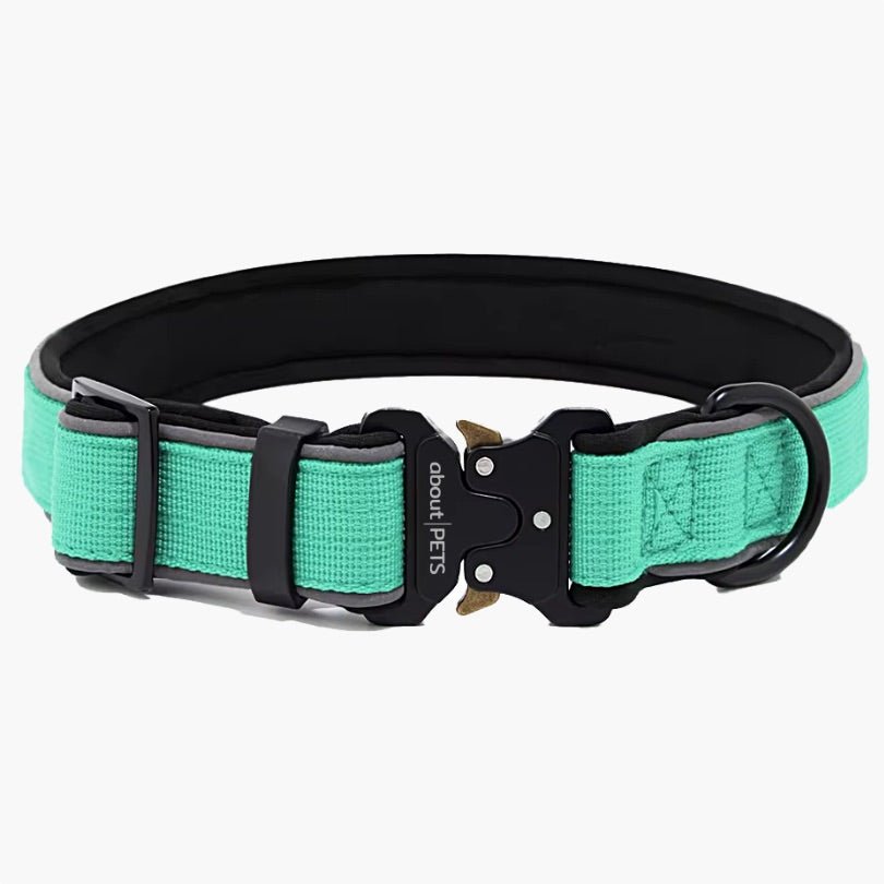 Titan Tactical Nylon Dog Collar - About Pets