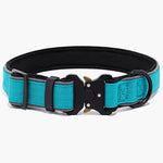 Tactical Nylon Dog Collar with Metal Fittings XSmall Blue Titan - About Pets