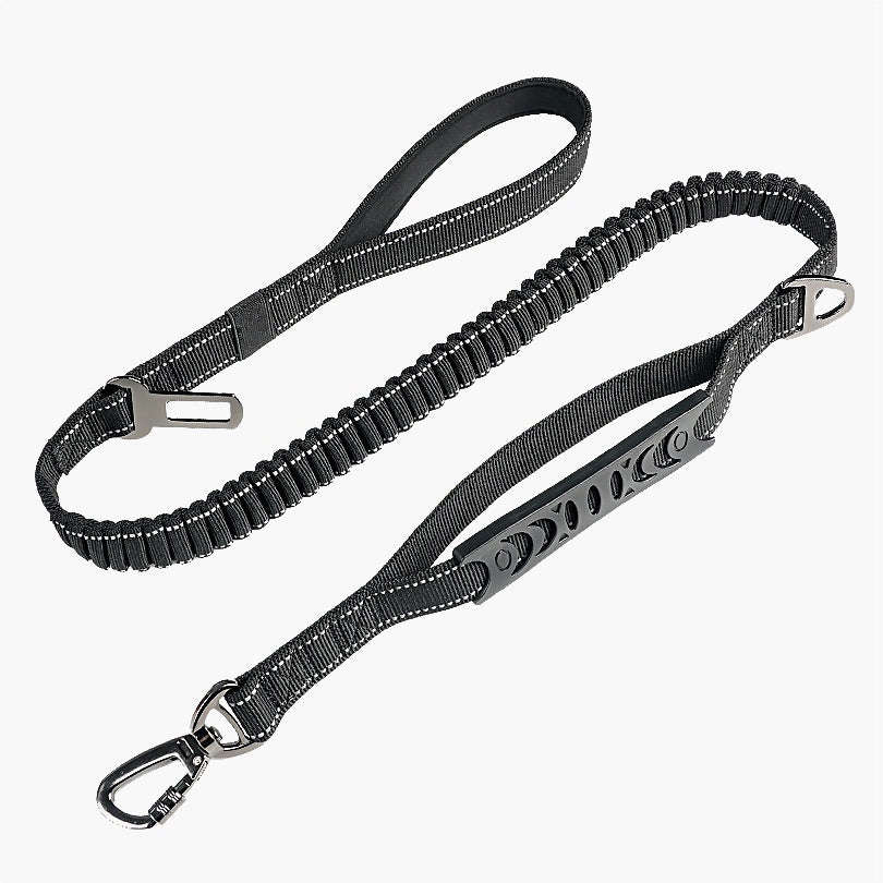 Ultra Dog Leash with Car Seat Restraint - About Pets
