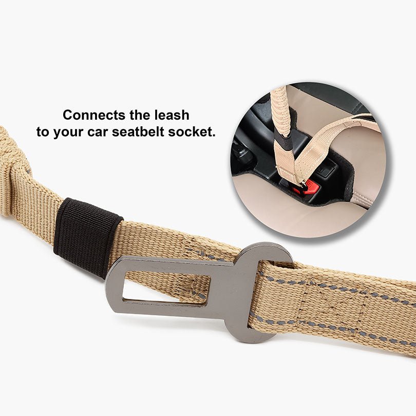 Ultra Dog Leash with Car Seat Restraint - About Pets