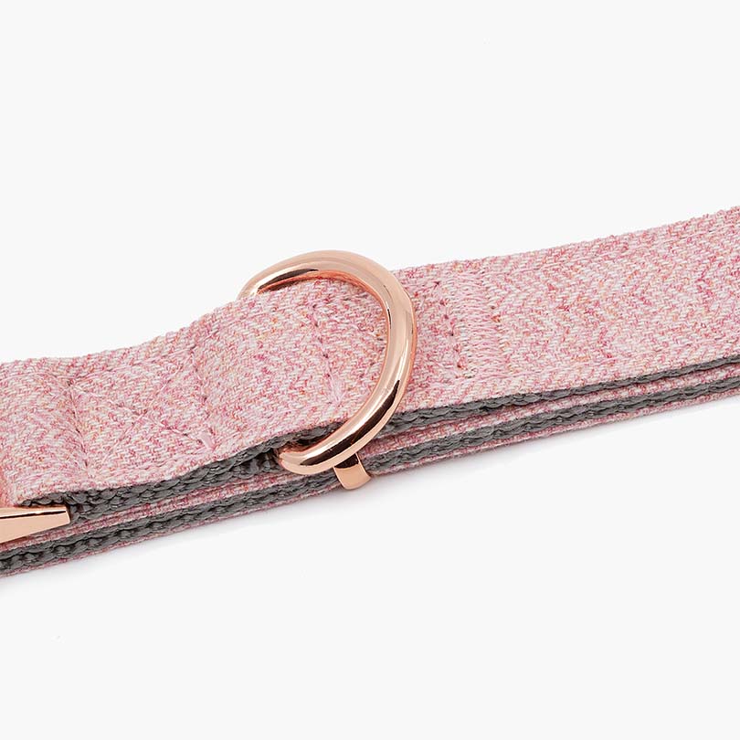 Vogue Woollen Twill Dog Collar - About Pets